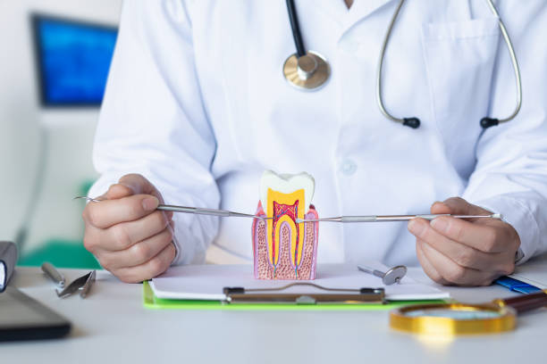Best Emergency Denture Repair in Minooka, IL
